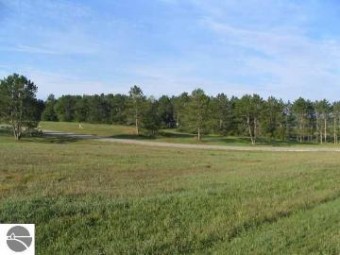 LOT 7 S Meadow Drive LOT 7 Cadillac, MI 49601