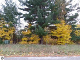 LOT 68 Eden Street Kingsley, MI 49649