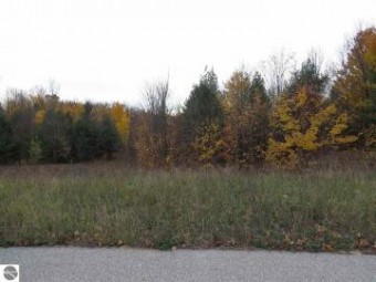 LOT 72 Eden Street Kingsley, MI 49649