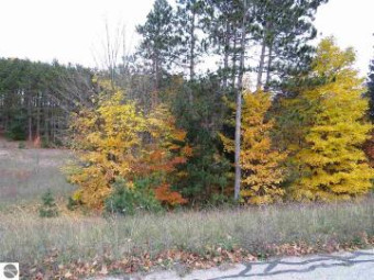 LOT 41 Pleasant Valley Kingsley, MI 49649