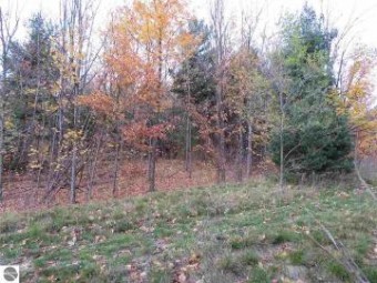 LOT 71 Rawlings Place Kingsley, MI 49649