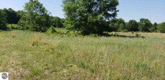 LOT 35 Alden Meadows Alden, MI 49612