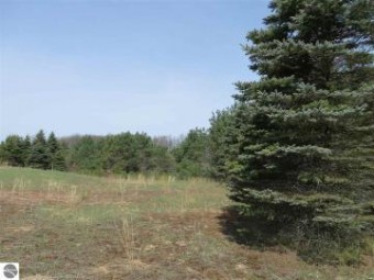 5 Spruce Hollow Trace Fife Lake, MI 49633