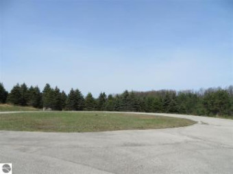 10963 Spruce Hollow Trace Fife Lake, MI 49633