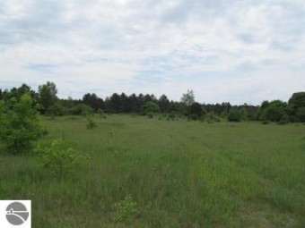 1686 Mark Lane LOT 12/ TWIN HAVEN SUBD. Cadillac, MI 49601