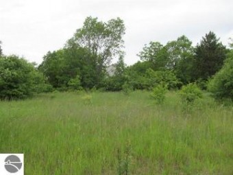 1526 Mark Lane LOT 18/ TWIN HAVEN Cadillac, MI 49601