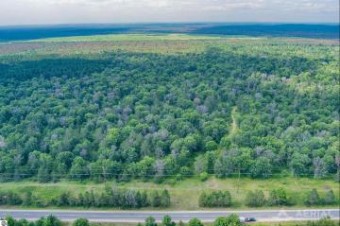 130 ACRES W Rose City Road West Branch, MI 48661