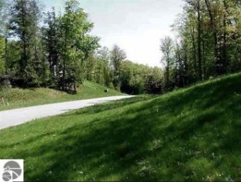 LOT #06 Timber Valley Court Kewadin, MI 49648