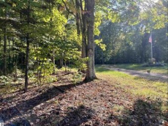 LOT 40 Mesa Drive Kalkaska, MI 49646