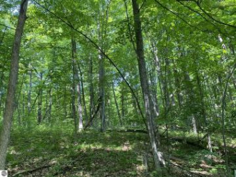 LOT 71 Birch View Trail Lake Ann, MI 49650