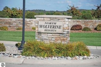 7003 Wolverine View Drive Williamsburg, MI 49690