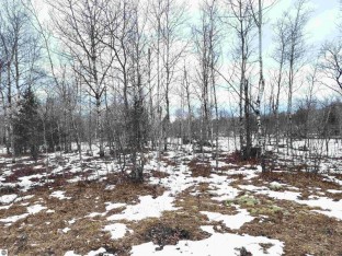 Lot 488 Manistee Heights No 1 Lot 488 