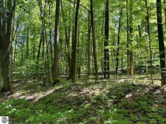 LOT 51 Val Disere Drive Bellaire, MI 49615