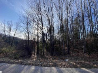 LOT 30 Scenic Hills Drive Williamsburg, MI 49690