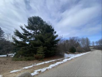 LOT 31 Scenic Hills Drive Williamsburg, MI 49690