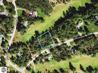 LOT 29 White Pine Drive Cadillac, MI 49601