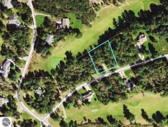 LOT 30 White Pine Drive Cadillac, MI 49601