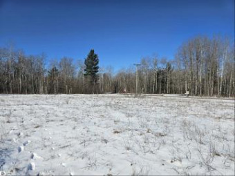 LOT 283 Sunridge Drive Elmira, MI 49730