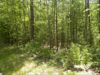 LOT 47 Bramblewood Drive Cadillac, MI 49601