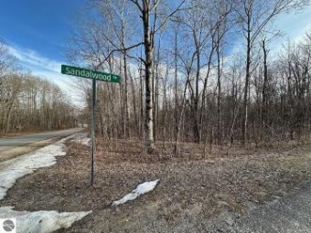 LOT 351 Dellwood Elmira, MI 49730