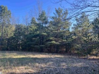 LOT 6 Jeffrey Place Grawn, MI 49637