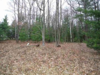 XXX Indian Oaks Lot 9 Prudenville, MI 48651