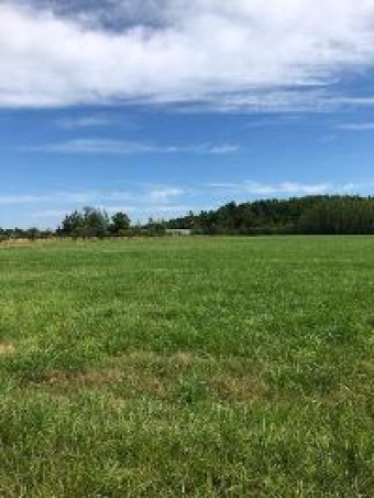 00 Townline Road PARCEL A Cheboygan, MI 49721