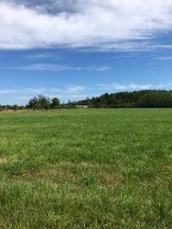 00 Townline Road PARCEL A Cheboygan, MI 49721