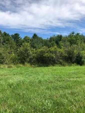 00 Townline Road PARCEL B Cheboygan, MI 49721