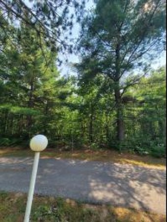 661 White Pine Drive LOT 20 Brutus, MI 49716