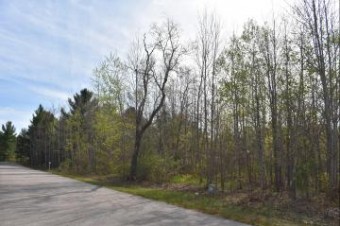 738 White Pine Drive LOT 25 Brutus, MI 49716