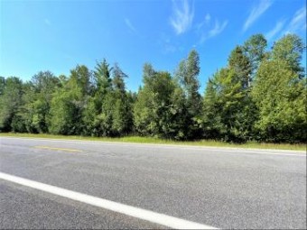 Us-23 Highway 21 ACRES +/- Ocqueoc, MI 49759