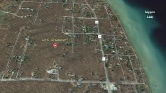 LOTS 17-32 Nixon Boulevard & CHICAGO-ROOSEVELT BLVDS Roscommon, MI 48653