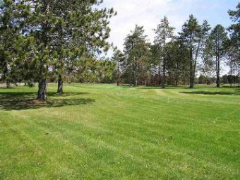 N1/2 LOT 1 N Markey Road Roscommon, MI 48653