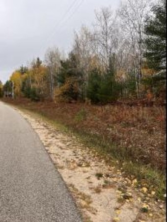 LOT #299 Wildwood Drive Elmira, MI 49730