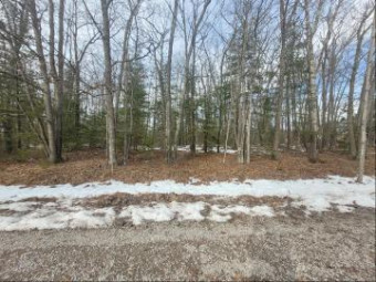 Apache Trail LOT 159 & 160 Rogers City, MI 49779