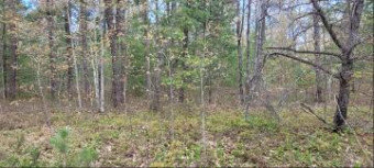 Sioux Trail LOT 97 Rogers City, MI 49779