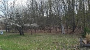 LOT 1512 Pheasant Run Gaylord, MI 49735