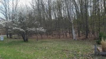 LOT 1512 Pheasant Run Gaylord, MI 49735