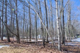 LOT 26 Ellixson Estates Roscommon, MI 48653