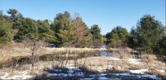 Little Canada Road 33 ACRES Cheboygan, MI 49721