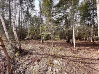 6 LOTS Off Arbutus Dr & Rutherford Rd Cheboygan, MI 49721