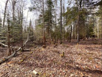 6 LOTS Arbutus Drive Cheboygan, MI 49721