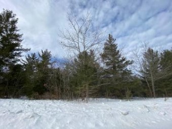 LOT 163 Pineview Drive Presque Isle, MI 49777