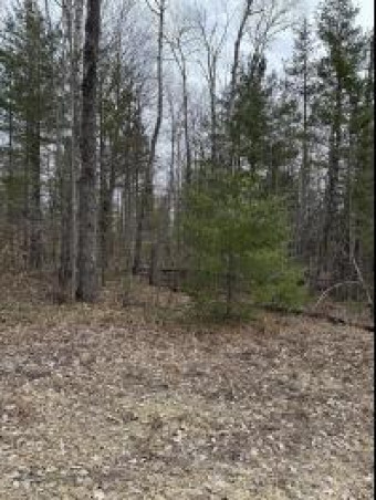 16271 Timber Line Drive LOT#100 Wolverine, MI 49799