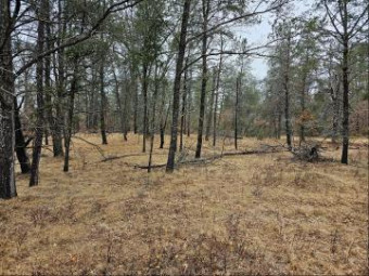 LOT 107 S Huntinghorn Road 064-400-000-107-00 Roscommon, MI 48653