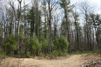 5 ACRES Bayer Road Roscommon, MI 48653