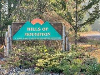 LOT 1 Hidden Hills Road Houghton Lake, MI 48629