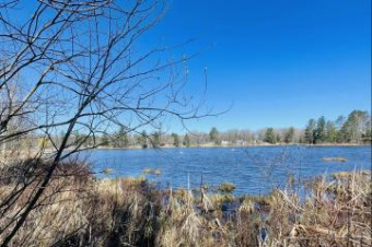 LOT 142 Hiawatha Trail Atlanta, MI 49709