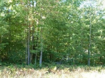 2208 Sommerset Drive LOT 11 Alpena, MI 49707